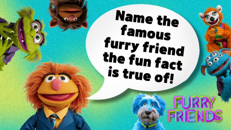 Furry Friends